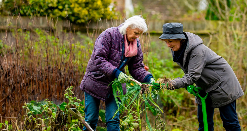 Offer from RS3 to share on global (arts and crafts)